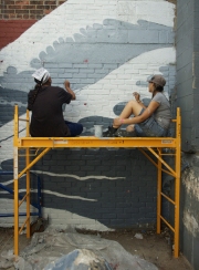 red hook